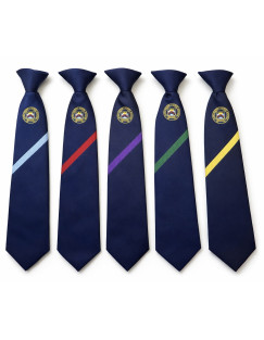 Parklands High School Tie 