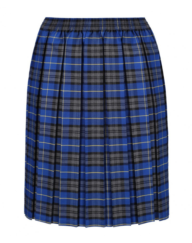 Blue Primary Tartan Skirt 